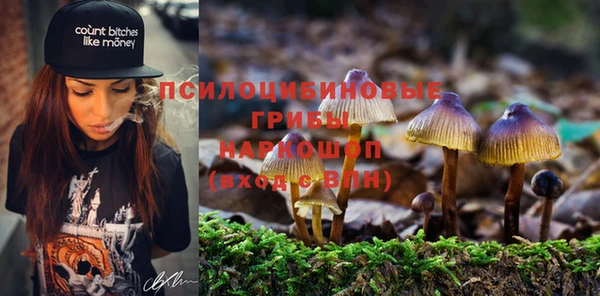 MESCALINE Дмитриев