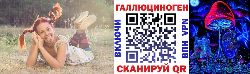 Псилоцибиновые грибы Magic Shrooms  Купить где  Санкт-Петербург 